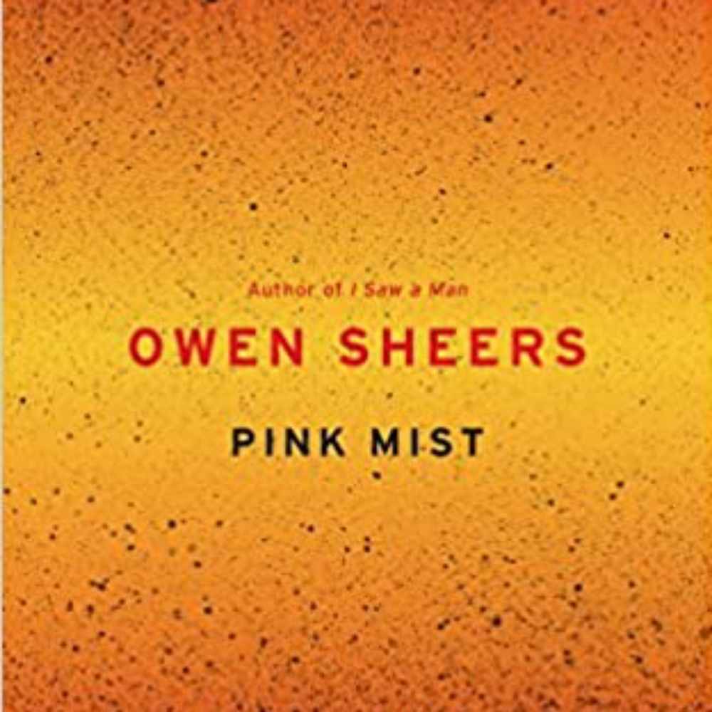 Pink Mist - Owen Sheers - Hardback